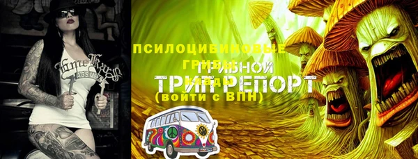 ECSTASY Пестово