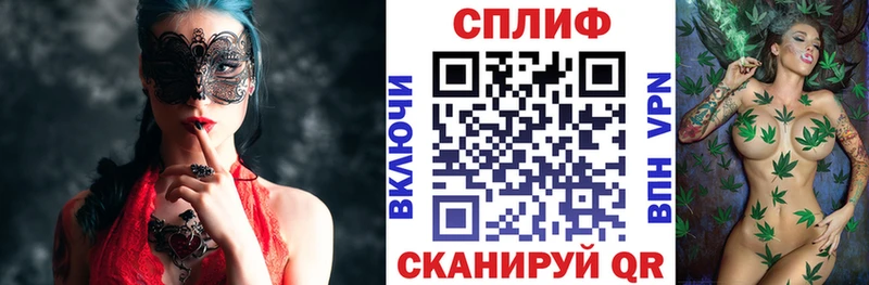 Канабис сатива  Кашин 